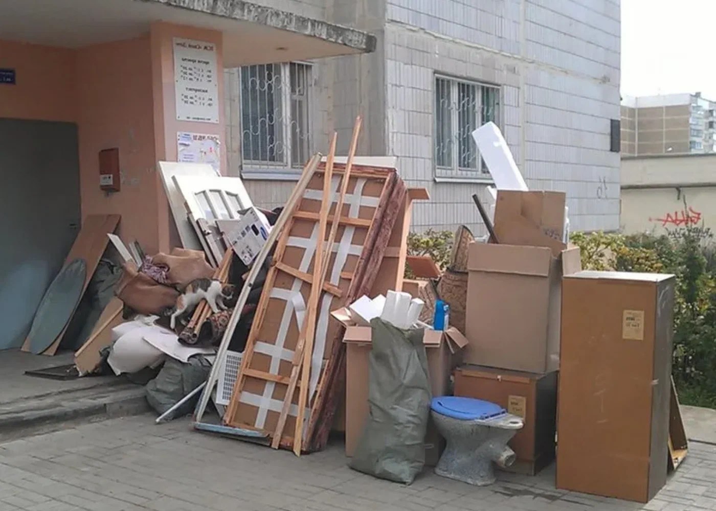 Профессиональный вывоз мусора из квартиры в Улане-Удэ в октябре