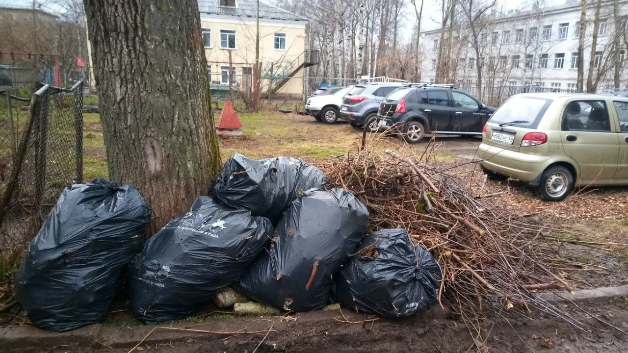Вывоз мусора после субботника в Улане-Удэ от ПроМусор – уборка и утилизация отходов от 2407 руб