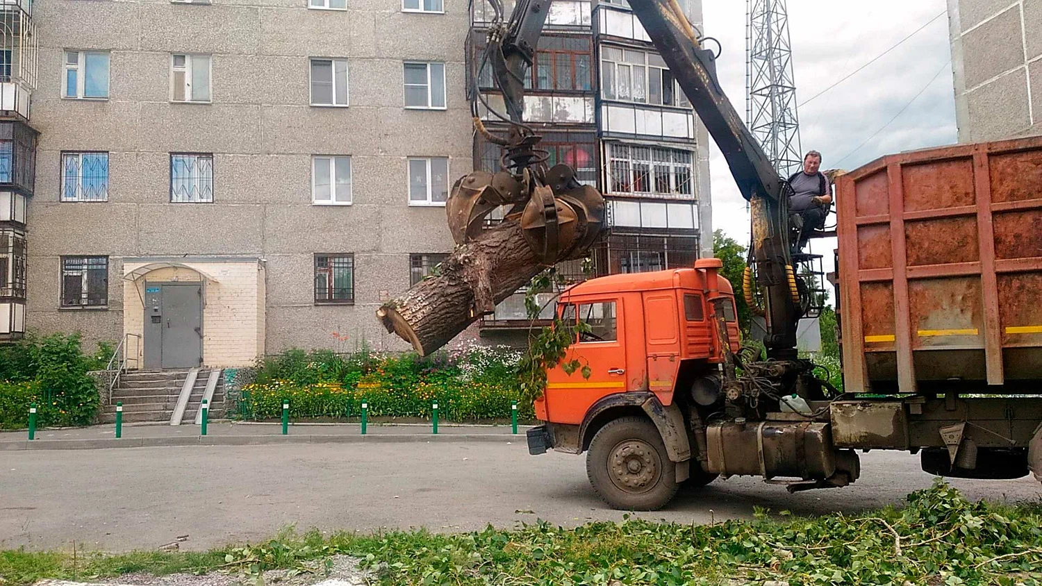 Вывоз спиленных веток и деревьев в Улане-Удэ от ПроМусор: порубочные остатки, утилизация, цена от 2970 руб