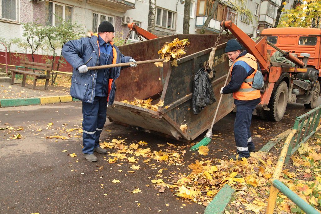 Вывоз опавшей листвы и растительного мусора в Улане-Удэ от ПроМусор – цена от 4609 руб., быстрая уборка и утилизация